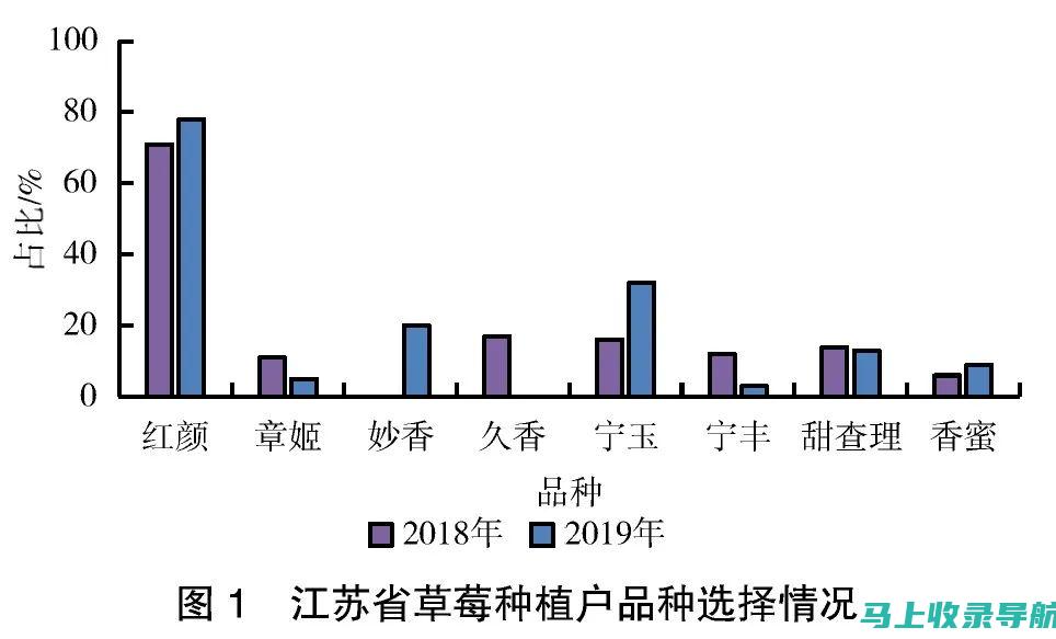 草莓销售数据分析：站长的必修课